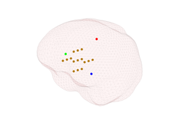 Four EEG sources, plotted with different colors 