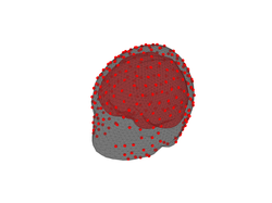 The anatomical triangulated surfaces of our head model. The red dots  identify the locations of the EEG sensors 