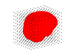 The 3D grid of candidate EEG source locations 