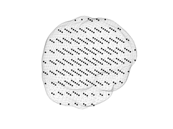 Grid locations within the inner skull surface, i.e. the allowed locations for EEG sources. 