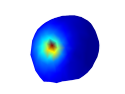 The source leadfield generated by a superficial and radial dipole 