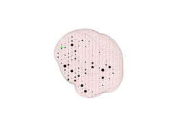 Source voxel activation strength for the noisy scenario with a single EEG source 