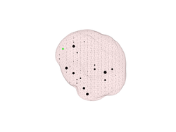 Source voxel activation strength for the noisy scenario with a single EEG source using a higher weighting exponent, which highlights the strongest voxel activations 